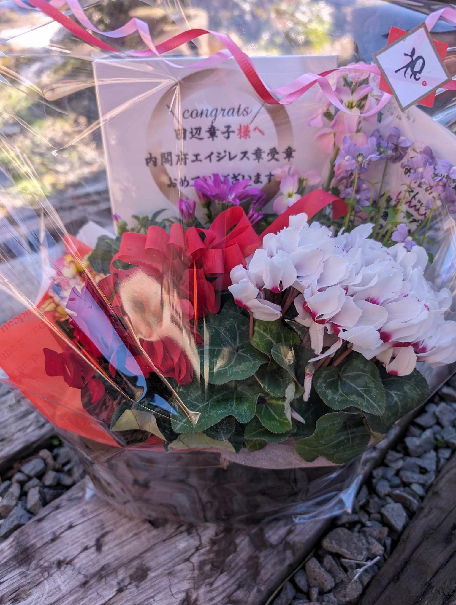 エイジレス章受章おめでとうございます