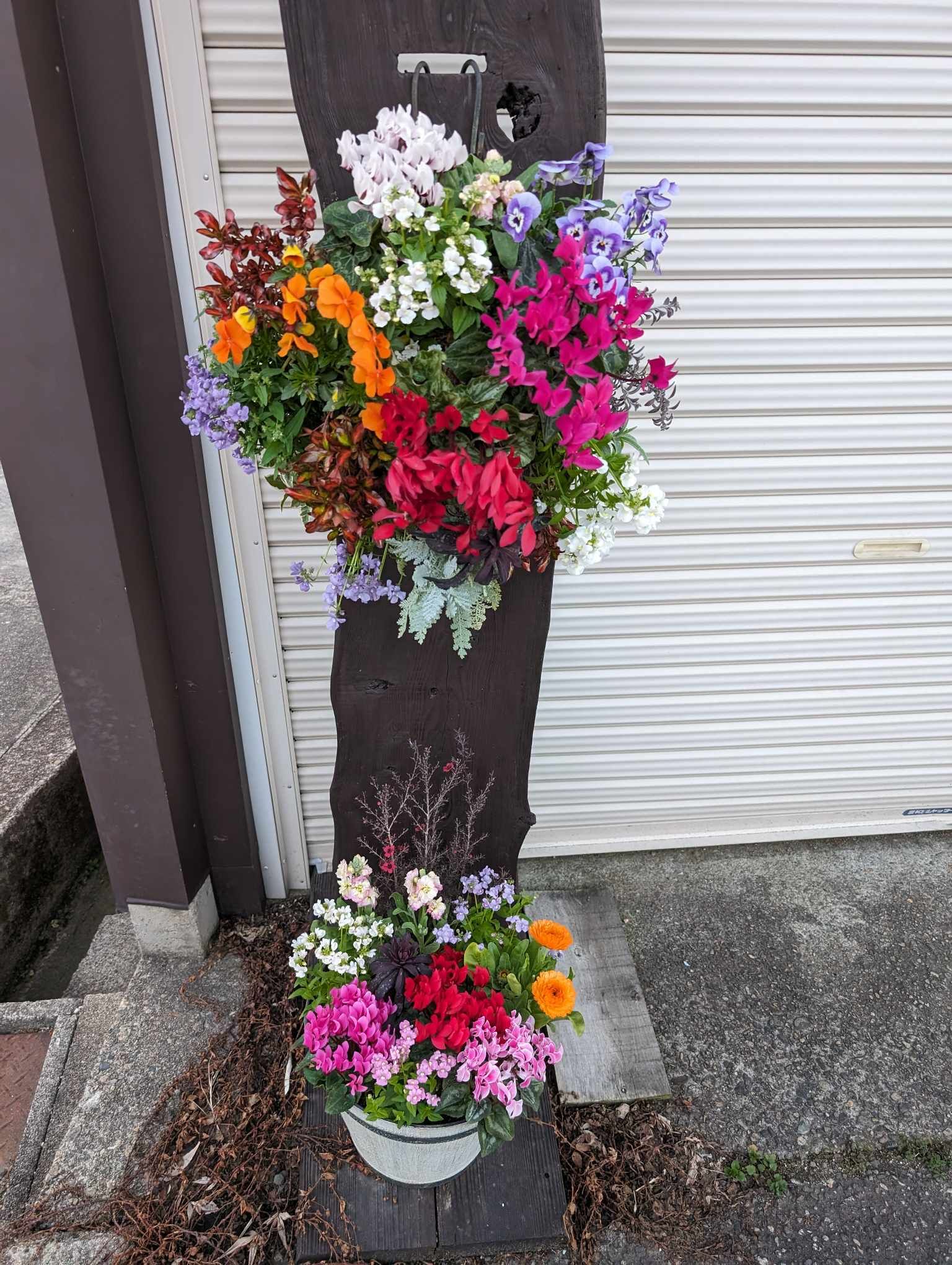 ハンギングを飾る