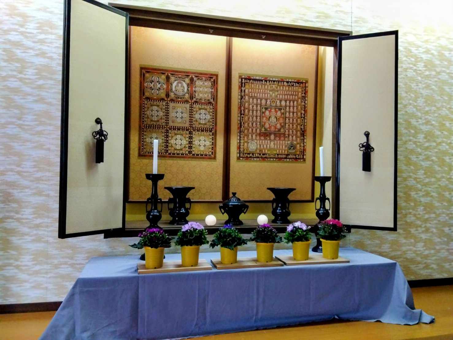 御仏前にサイネリア