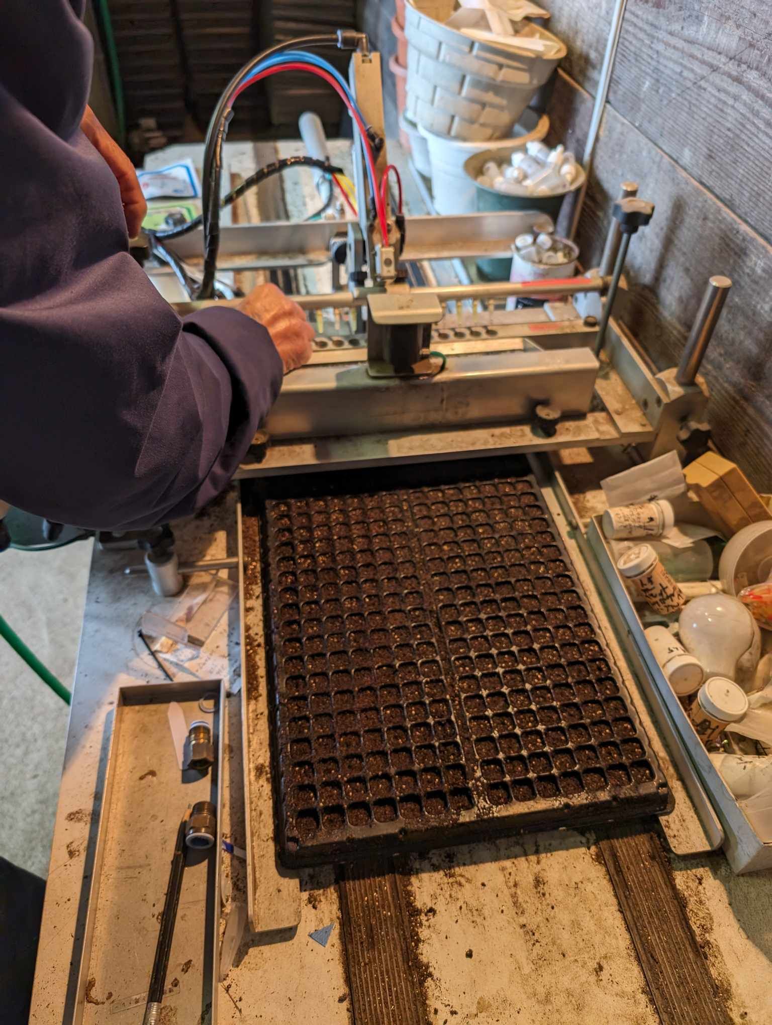 種まき作業伝授