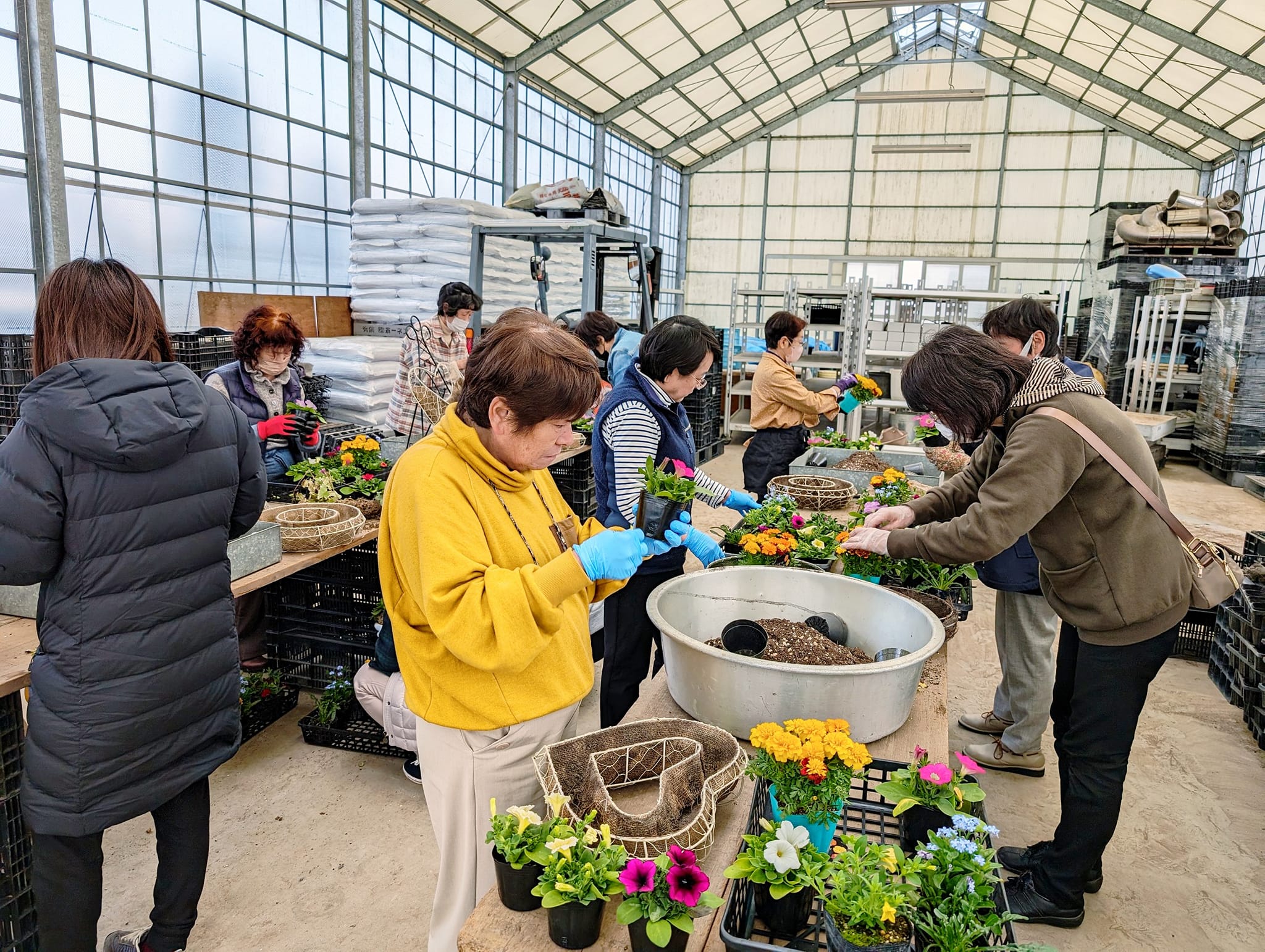 JOY☆ガーデニング隊最終回