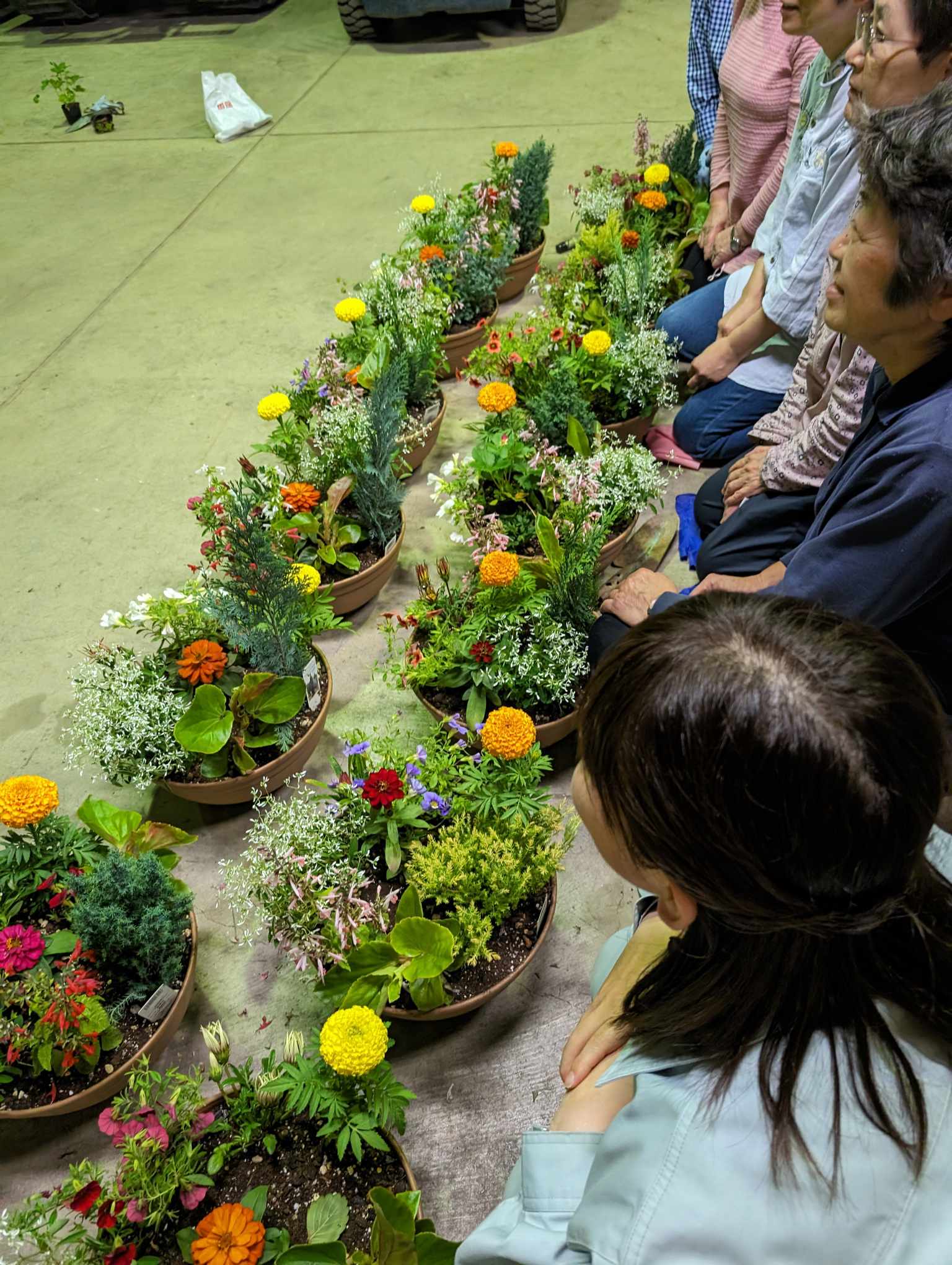 今日も寄せ植え教室