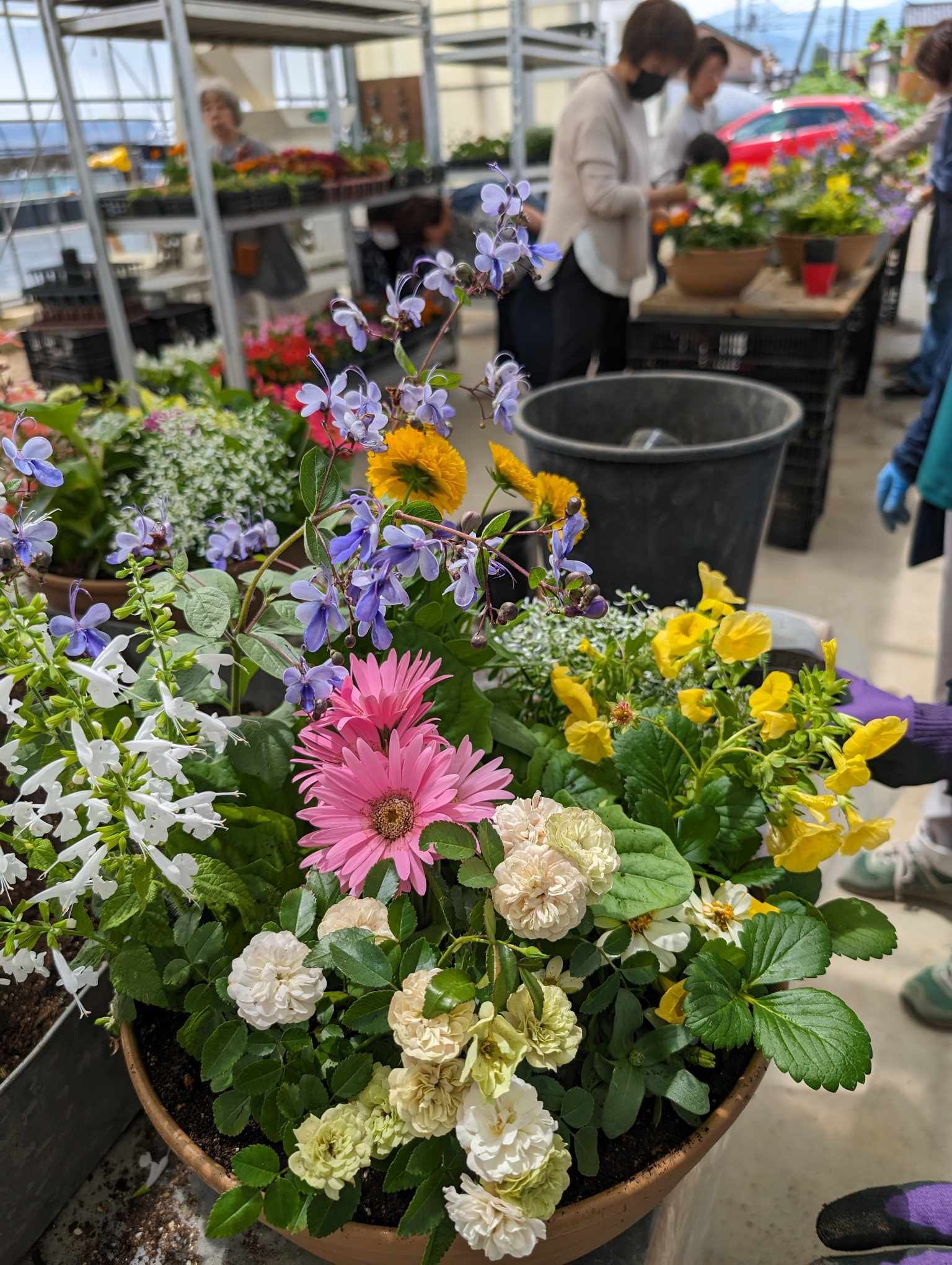 JOY☆ガーデニング隊５月教室