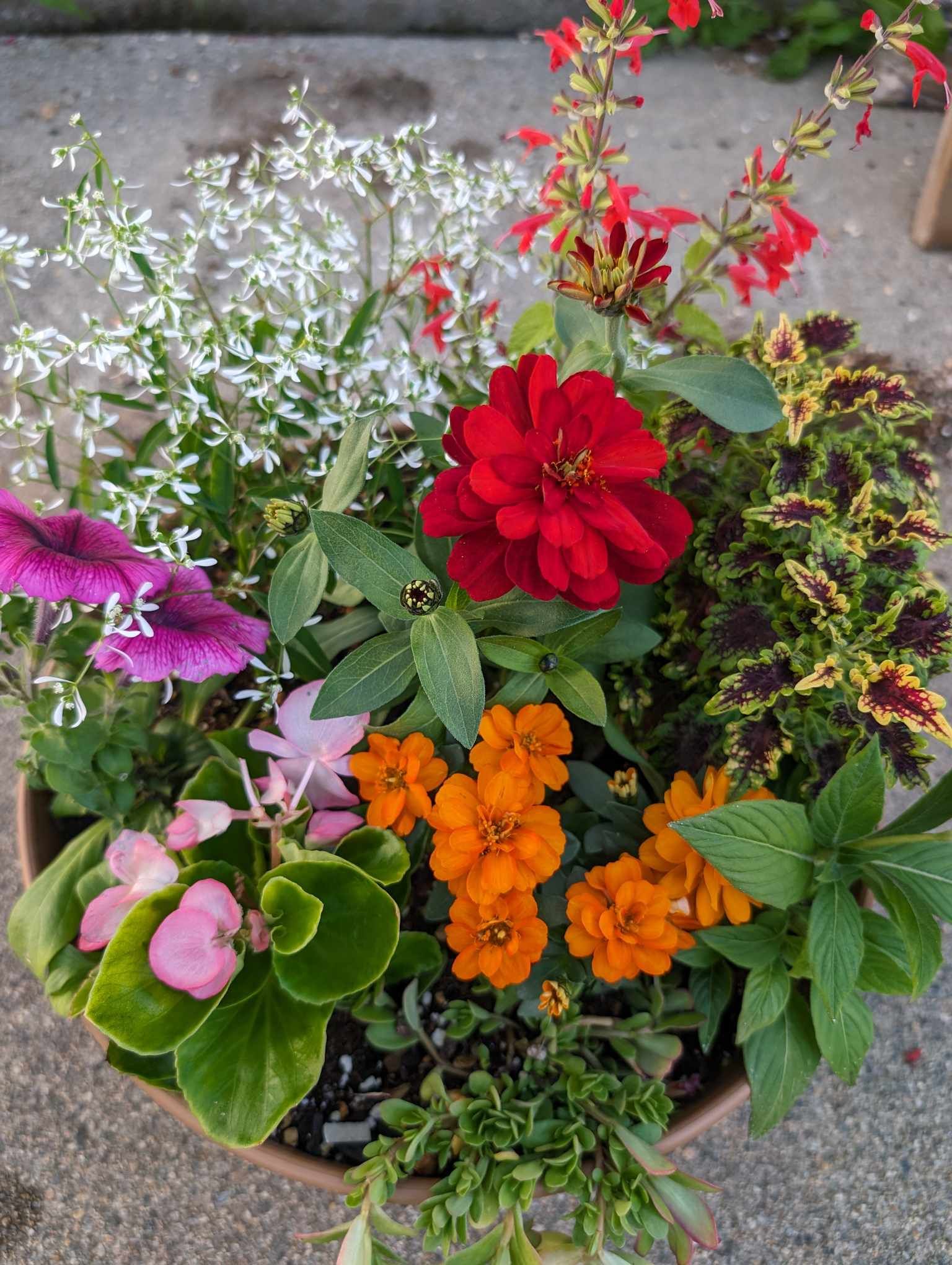 会社前のおもてなしに♪