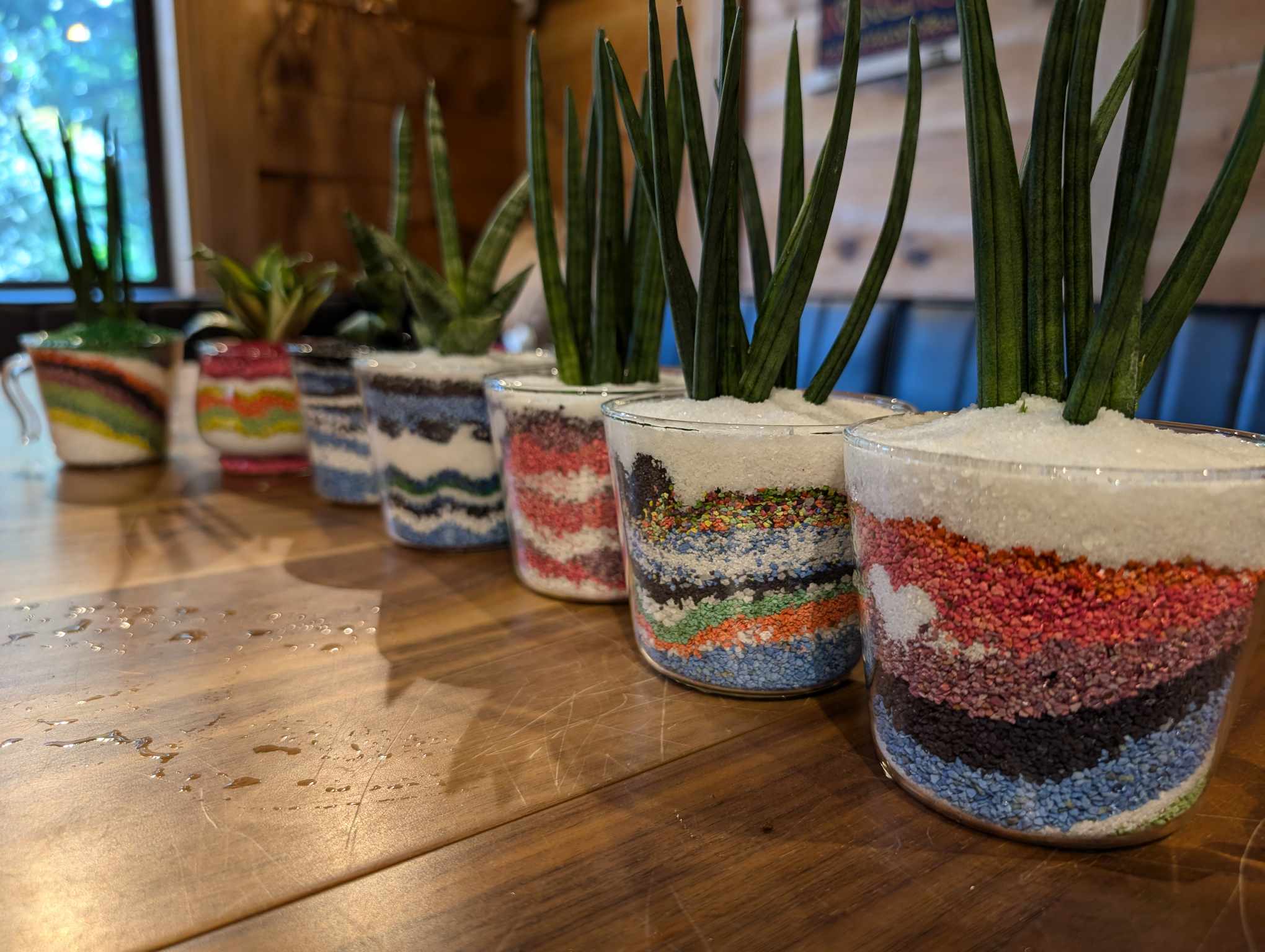 JOY☆ガーデニング隊７月教室