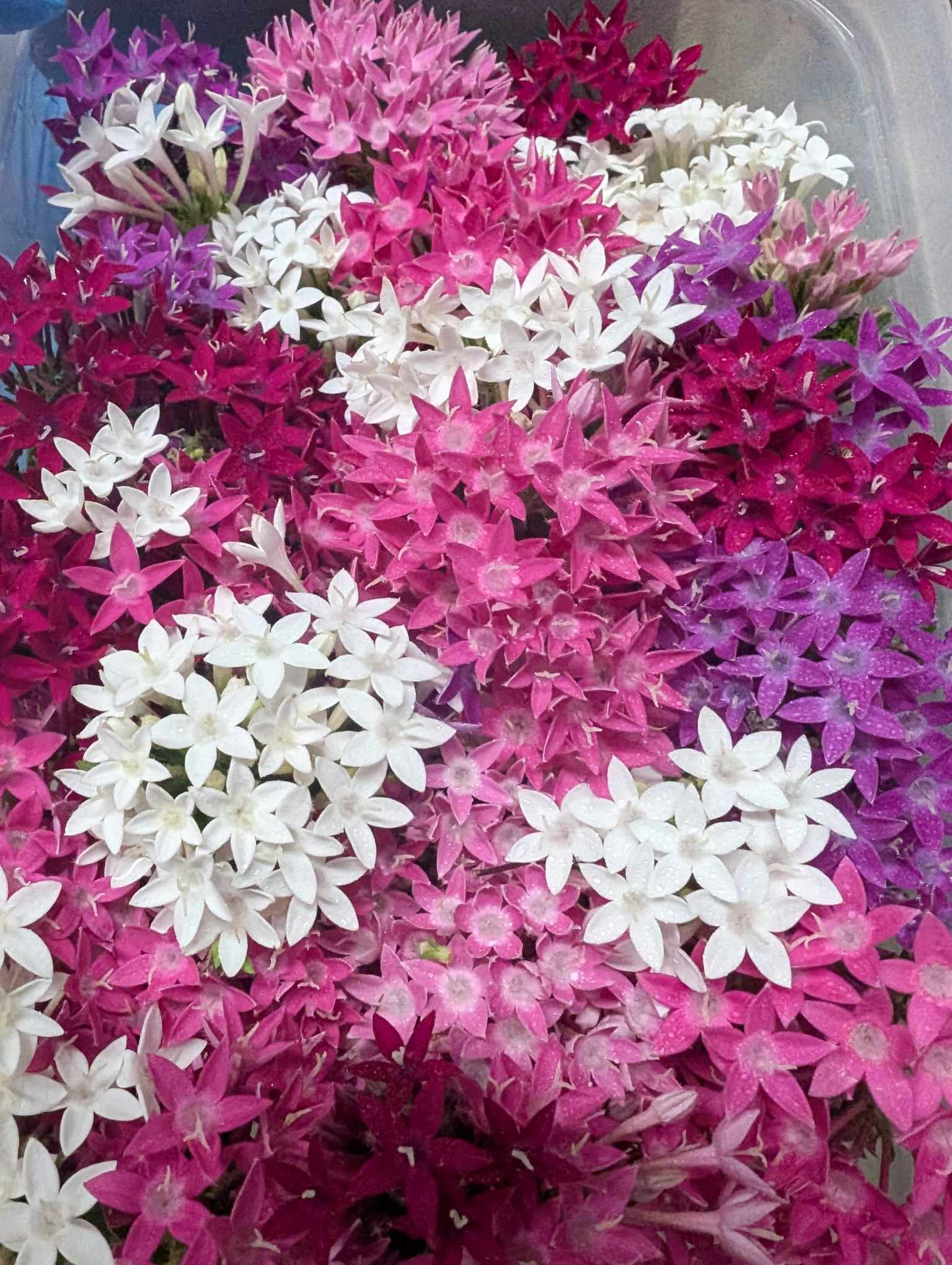 貴重面なお仕事