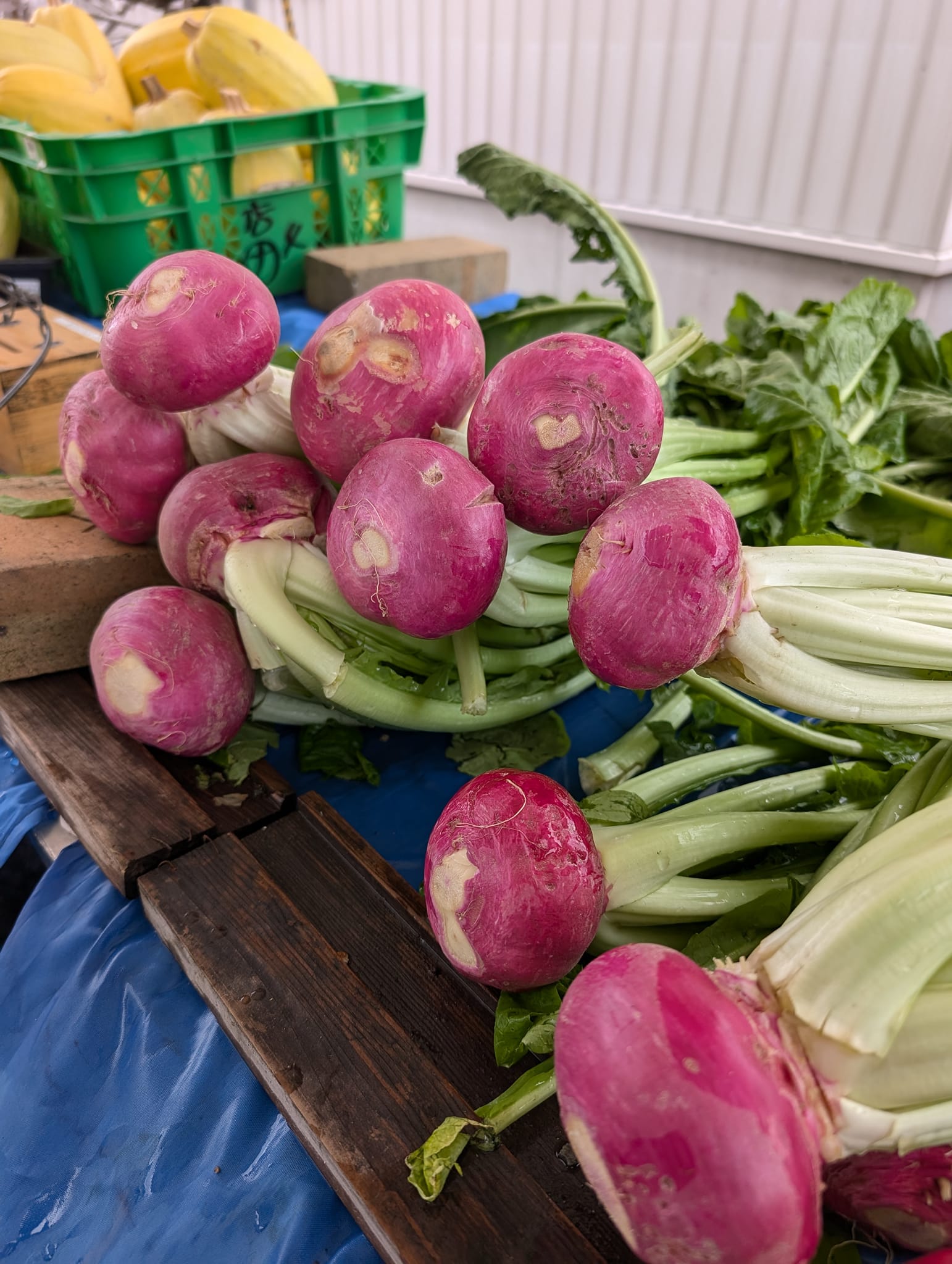 上平でごつっぉGET☆