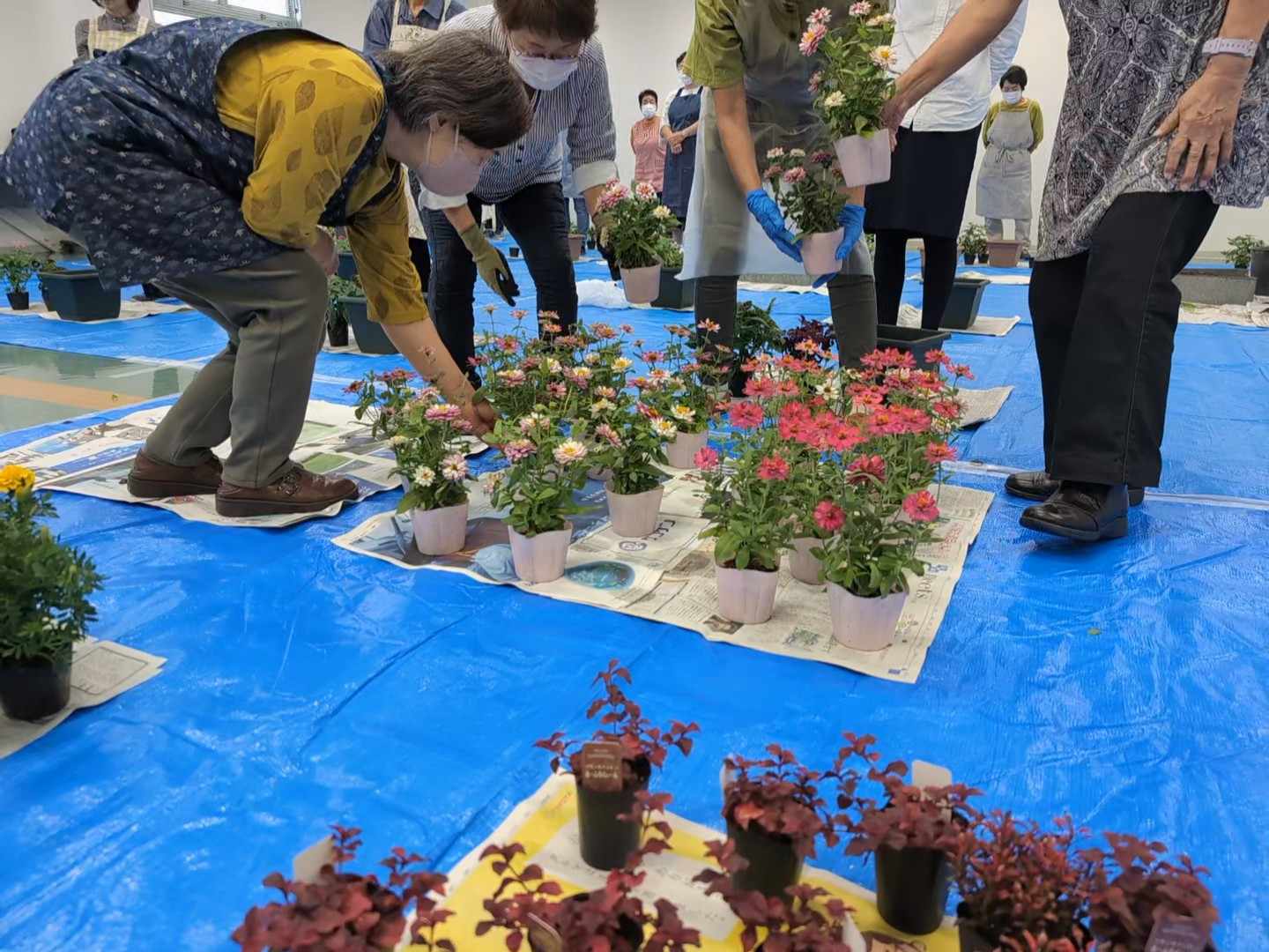 今年もエコタウン教室