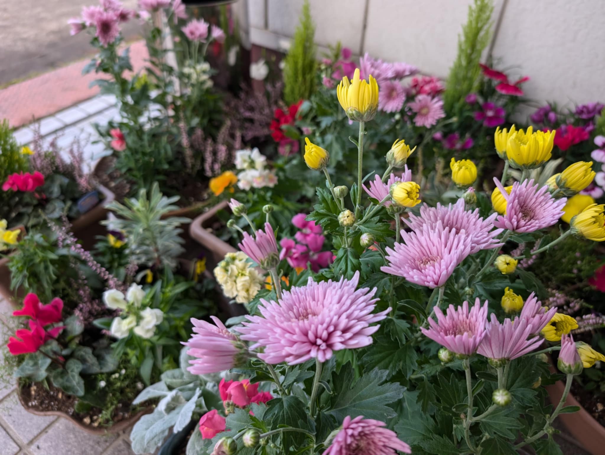 文化祭シーズン到来☆