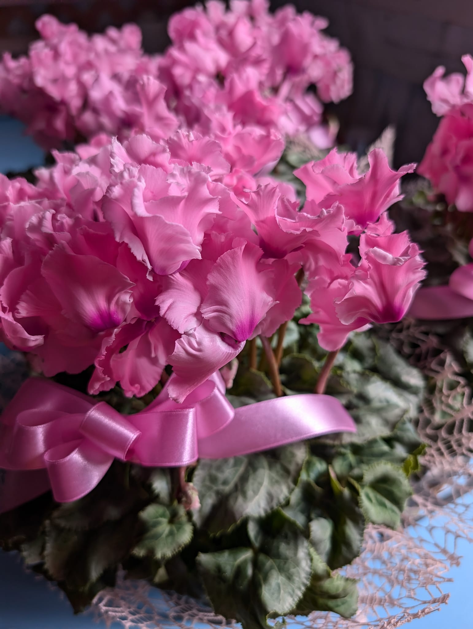 法要の引き出物に❀