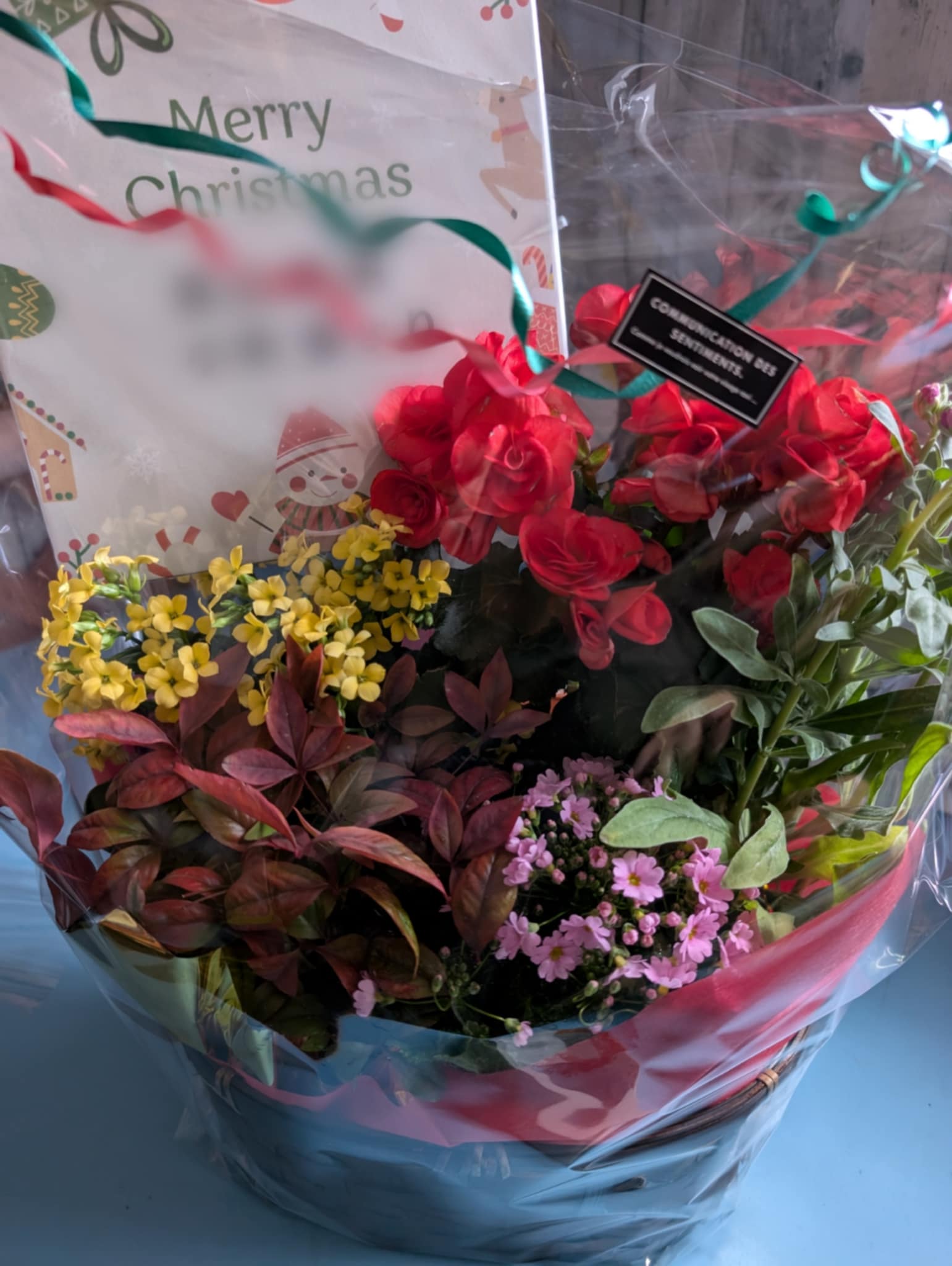 フラワーギフトも続々❀