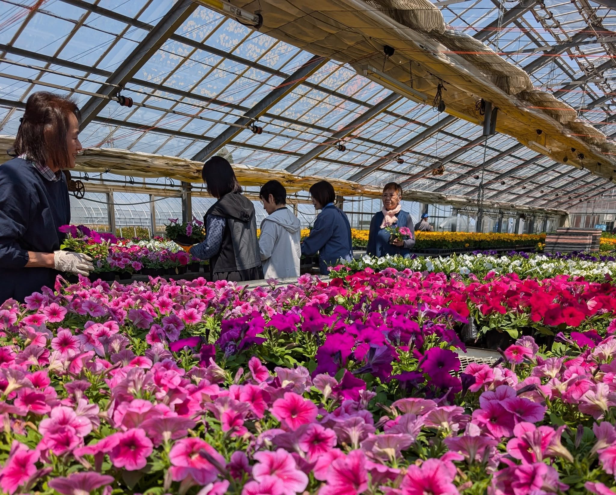 今年度もJOY☆ガーデニング隊