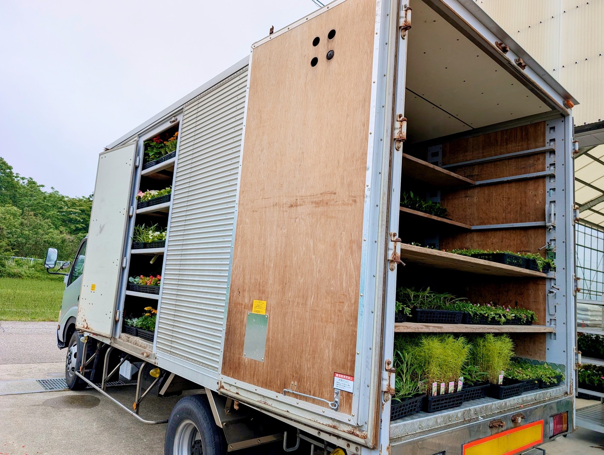 花苗配布折り返し！！