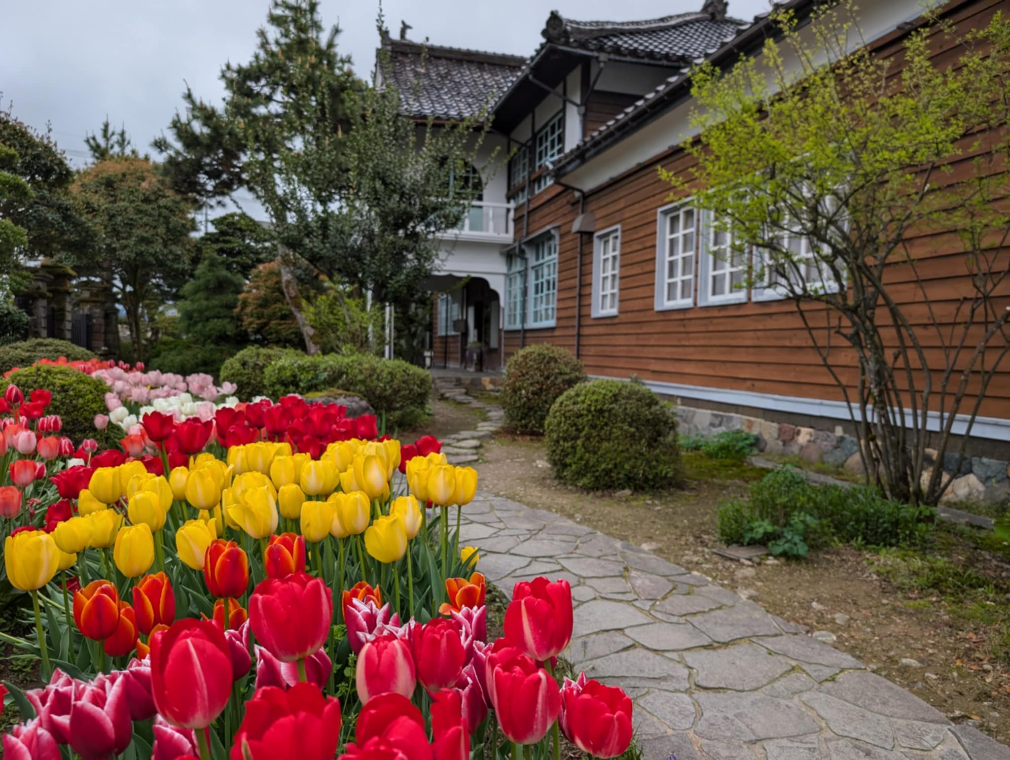 お花畑の中で寄せ植え教室