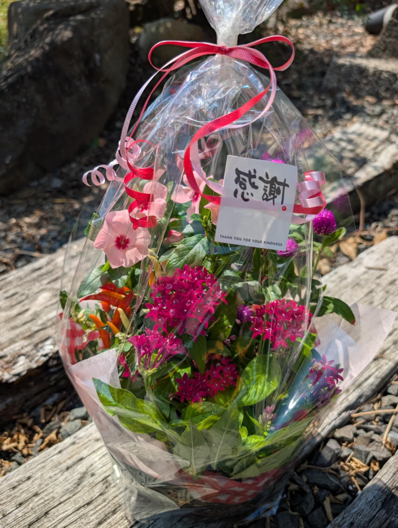 フラワーンダフルギフト❀
