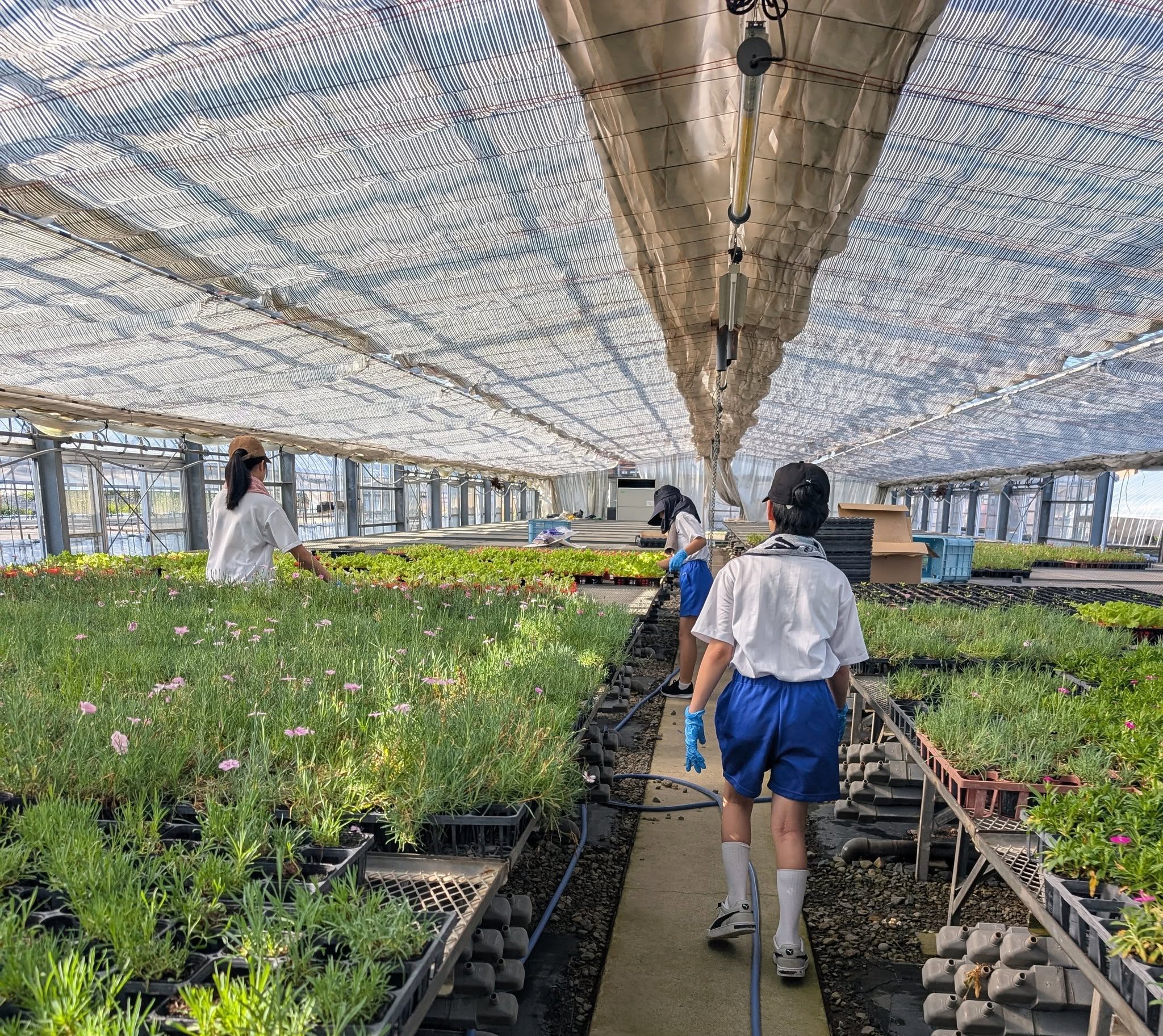 9月はじまり！！！