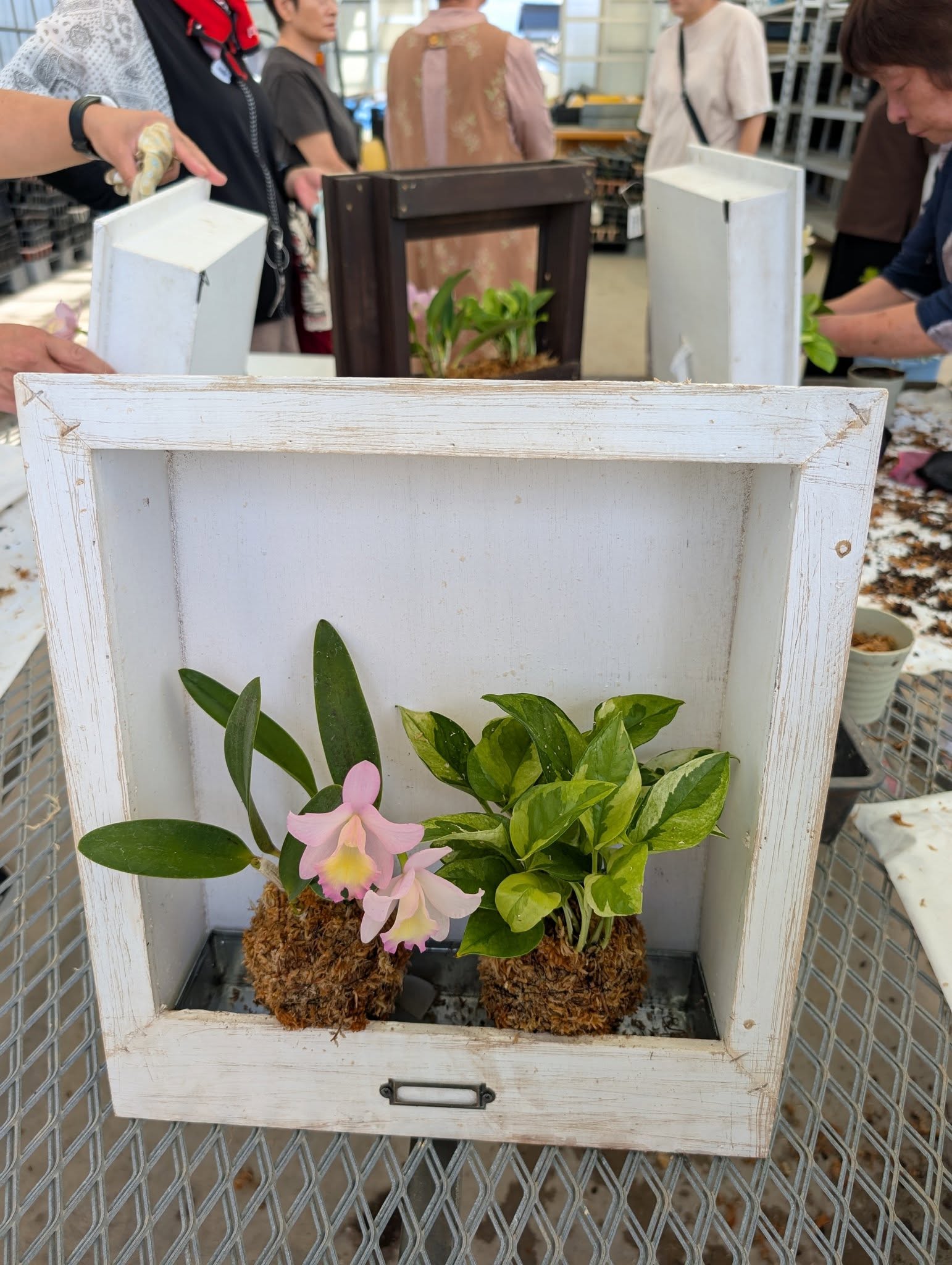 JOY☆ガーデニング隊9月教室