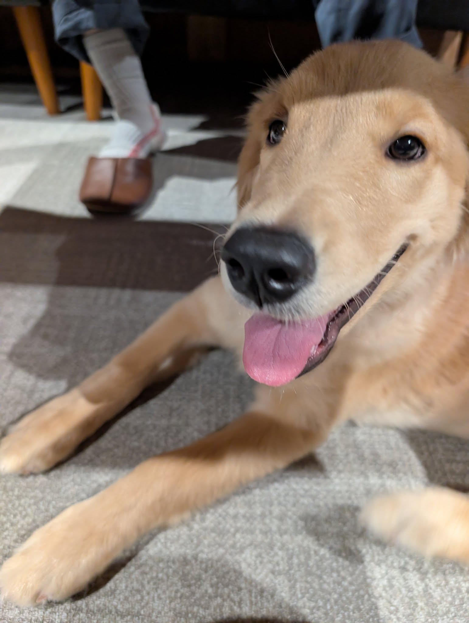 ハッピーバースデー TO ME！！