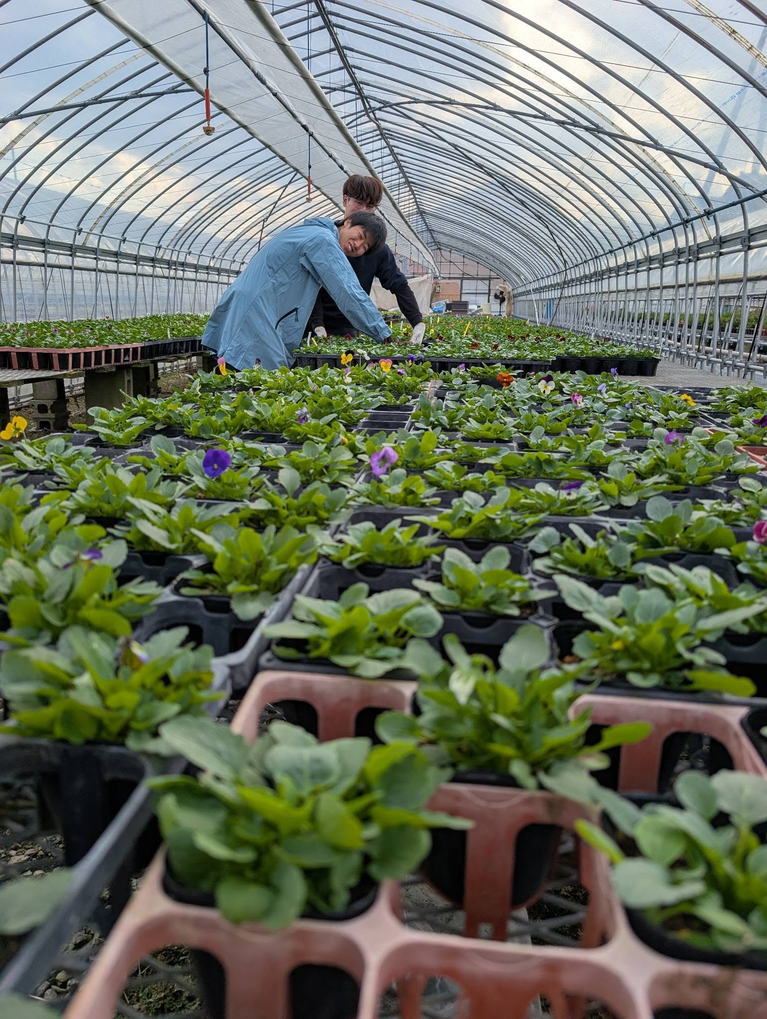 名城大学生バイト週間