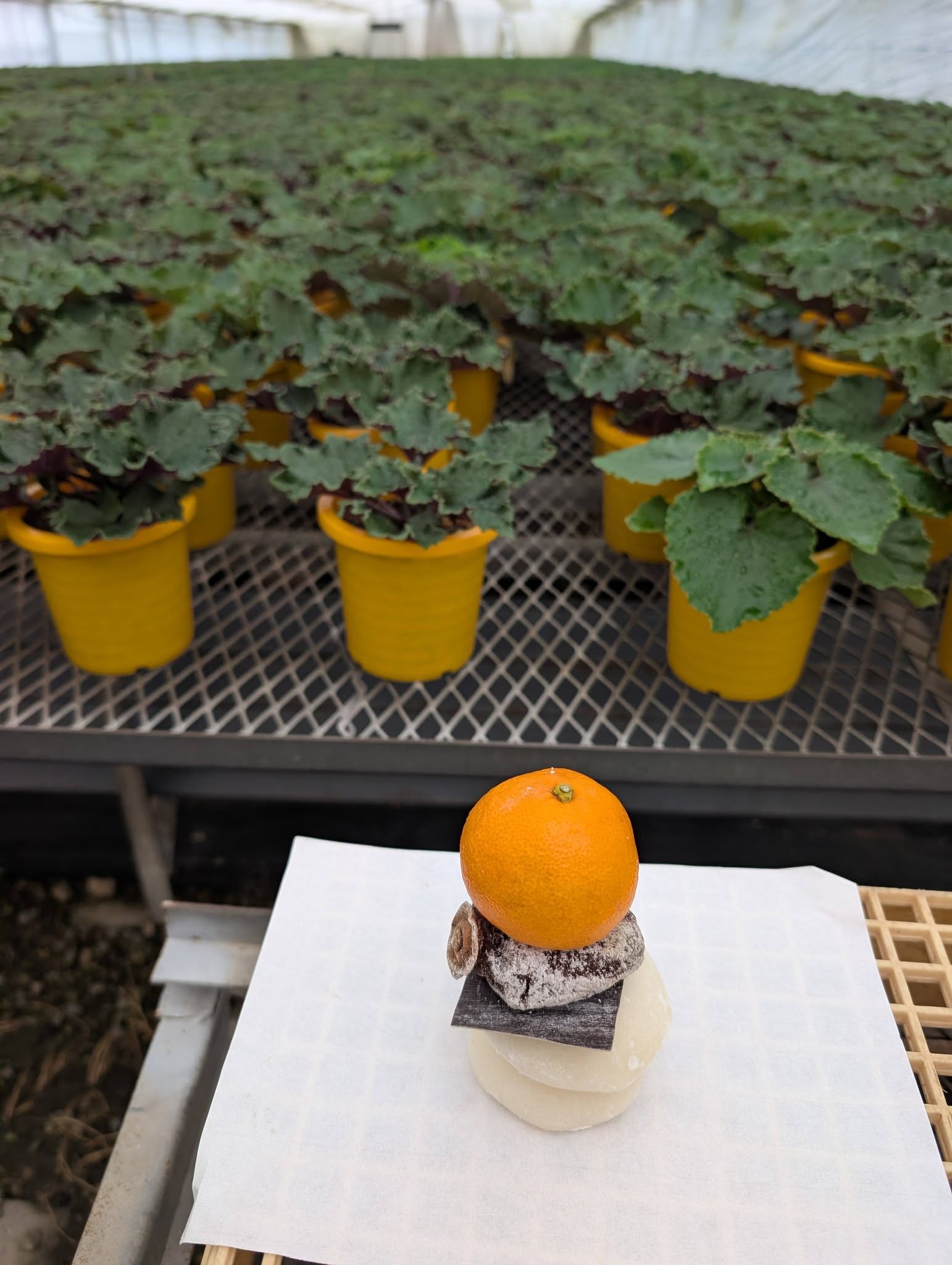 一年の感謝を込めて☆