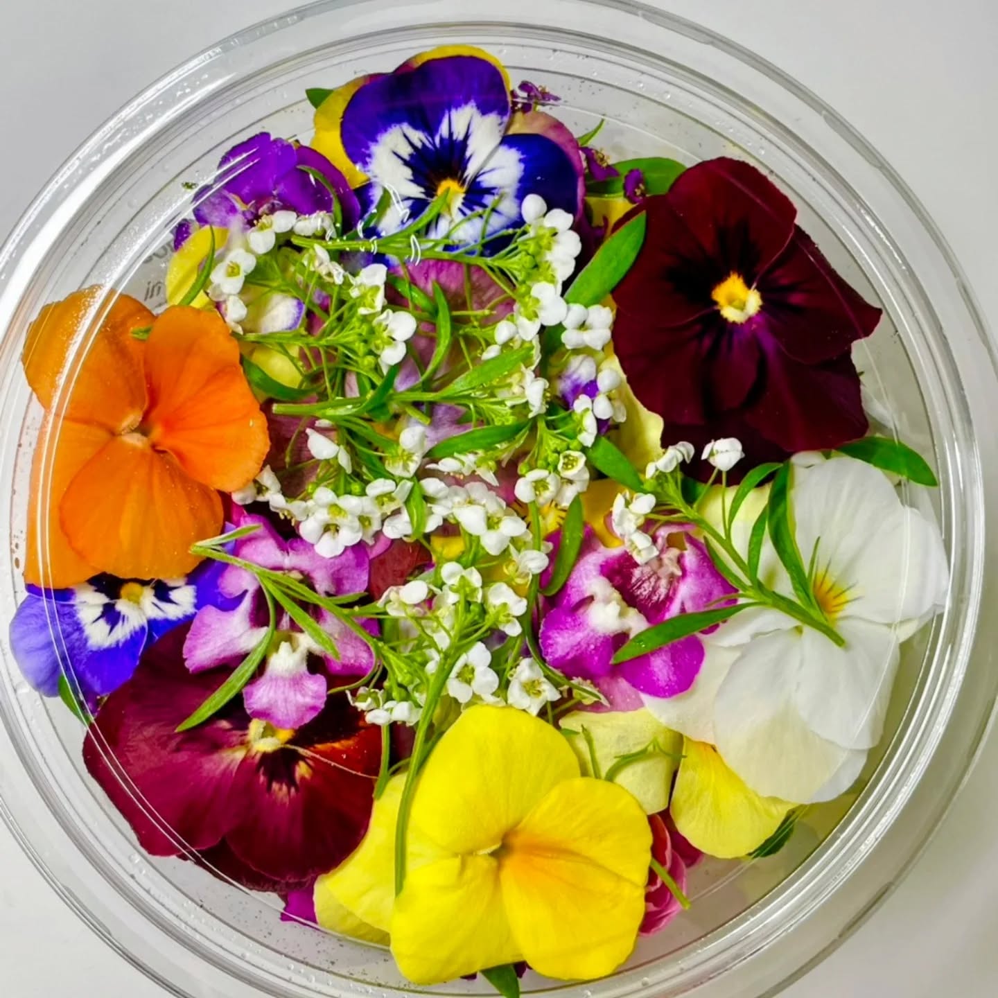 今日もエディブルフラワー