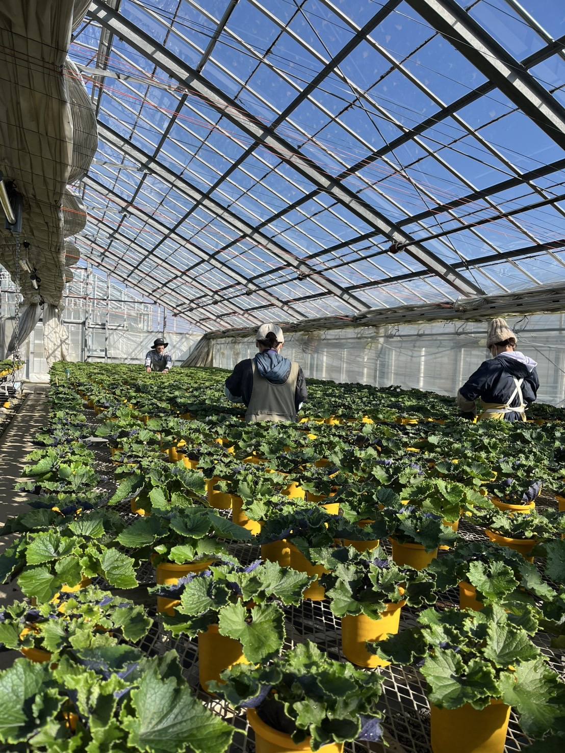 晴れ間はチャンス