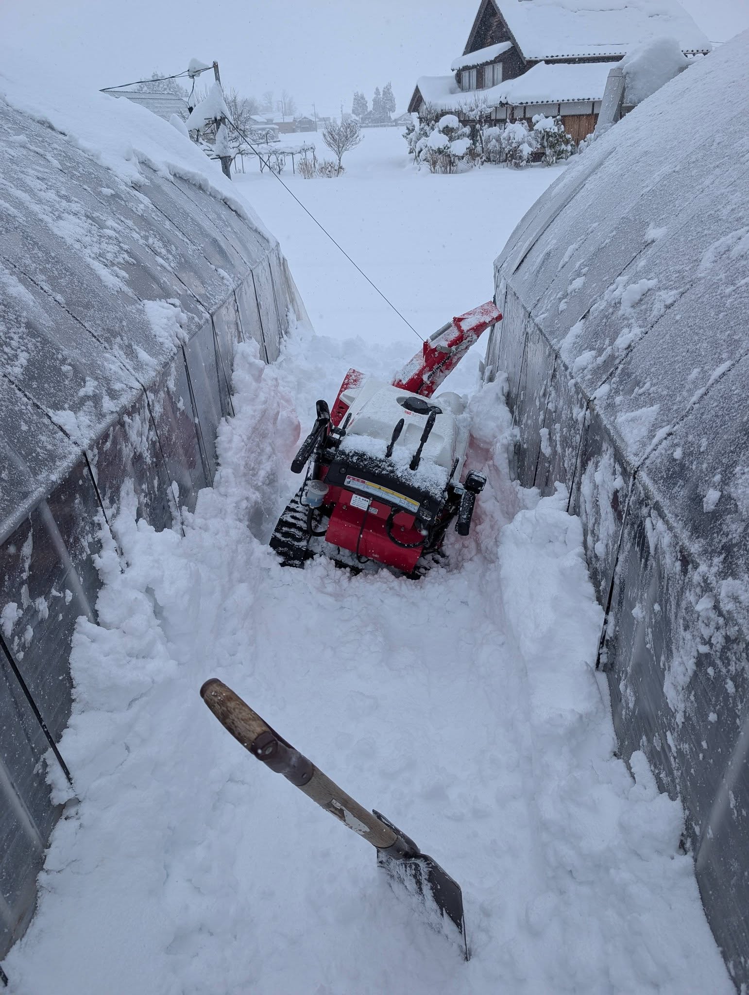 除雪ではなくてレスキュー