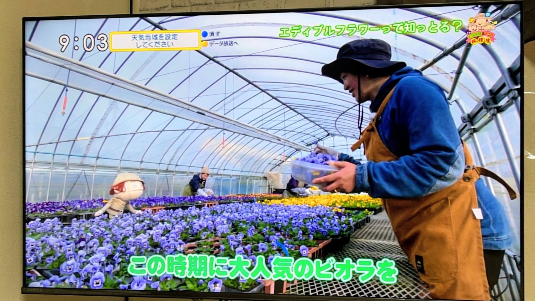 【TSTさんに出演中】