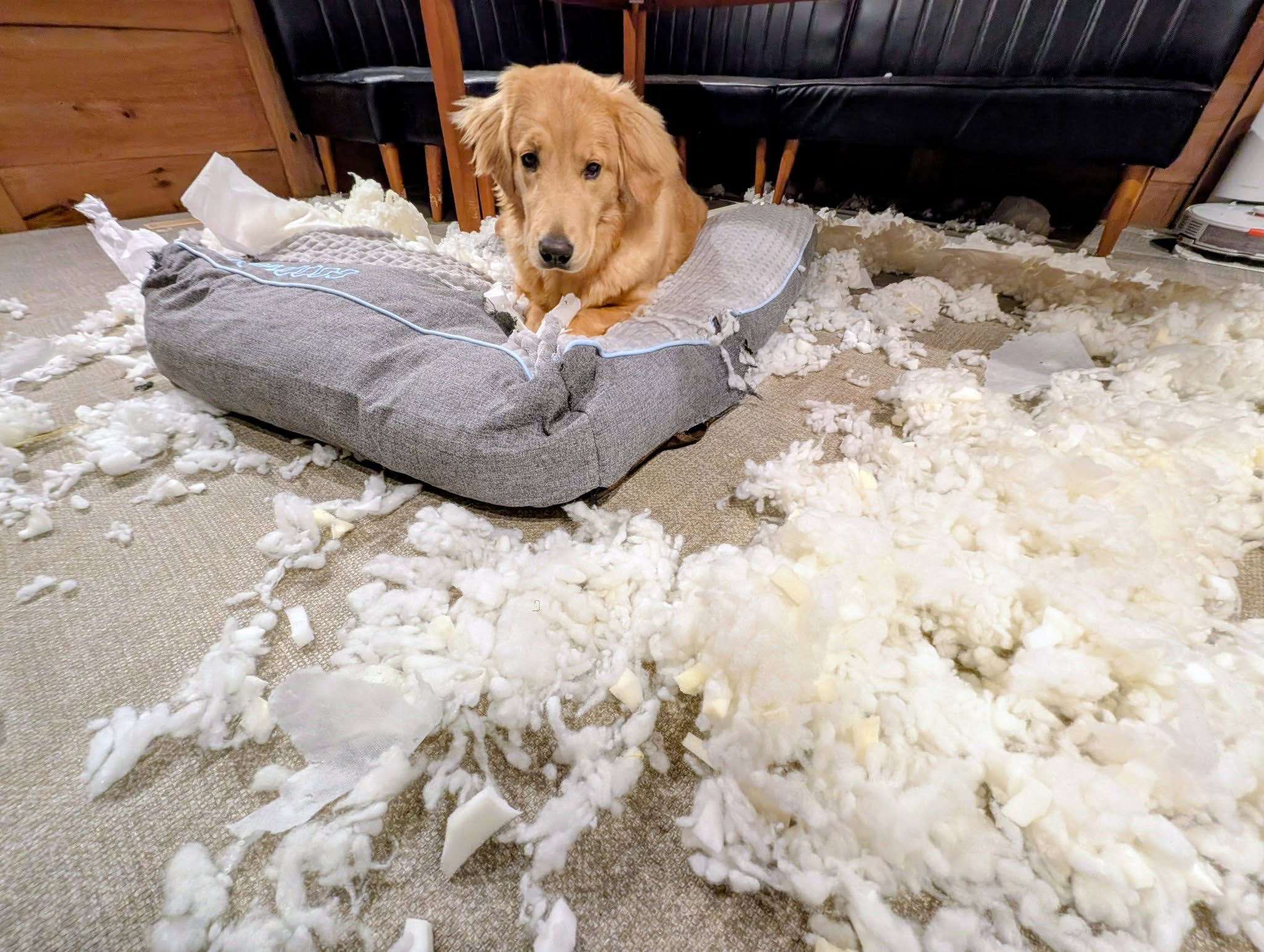 ここは雲の中！？