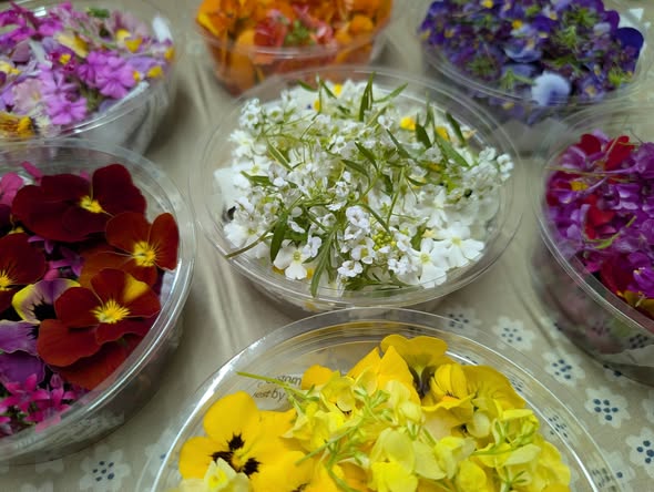 ❀　バレンタインに向けて　❀