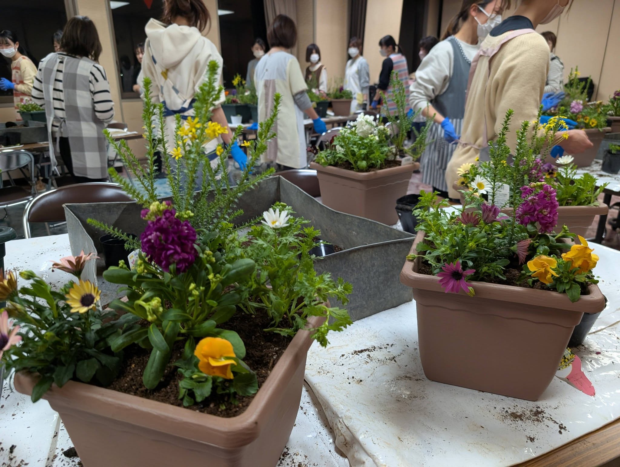 先生方と寄せ植え時間