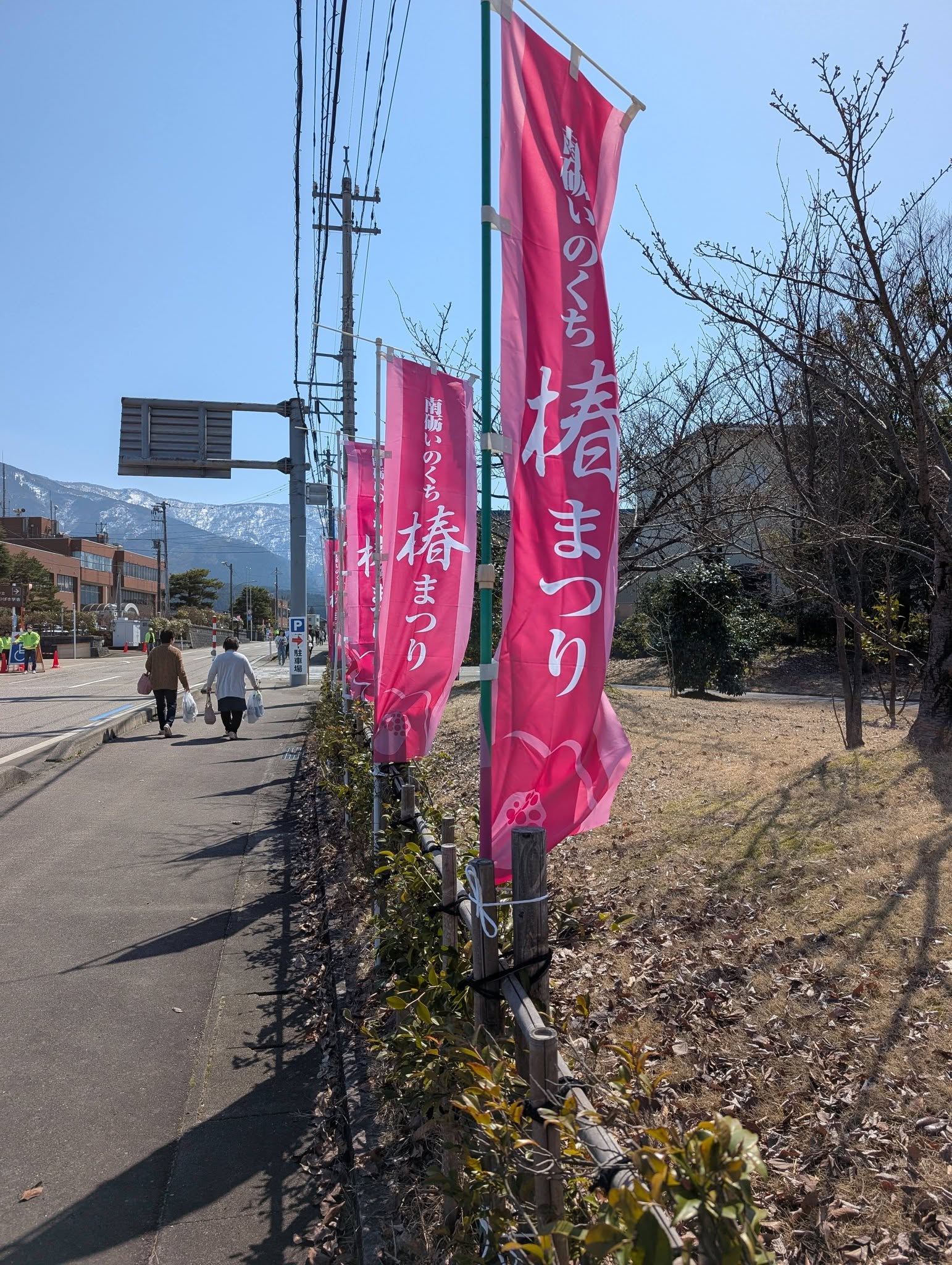 いのくち椿まつりへ