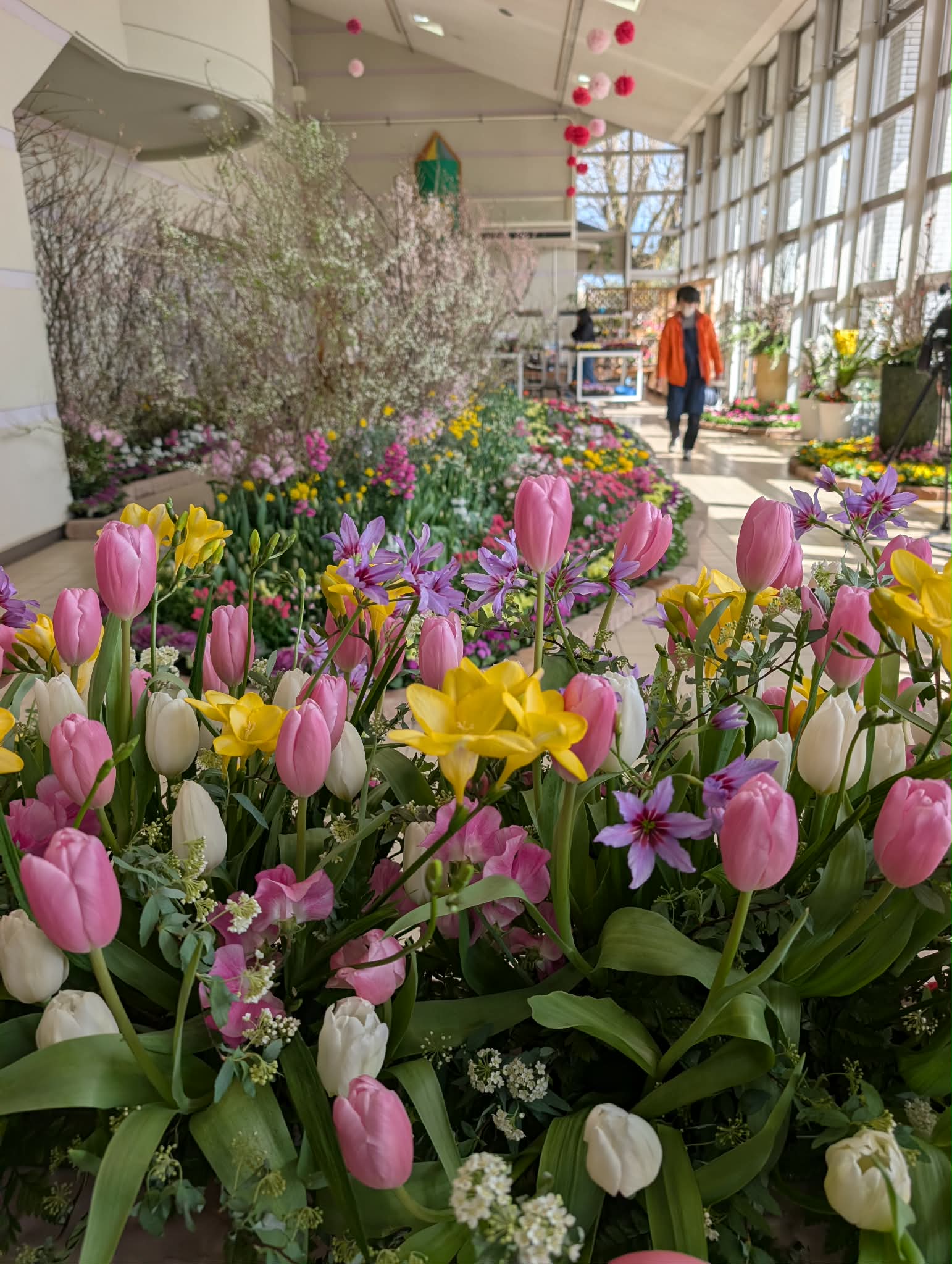 早春の花まつり開催❀